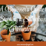 A Beginner's Guide to Starting a Suburban Homestead.
