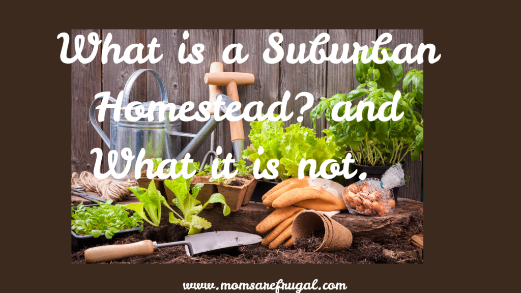 What is a Suburban Homestead? and what it is not.