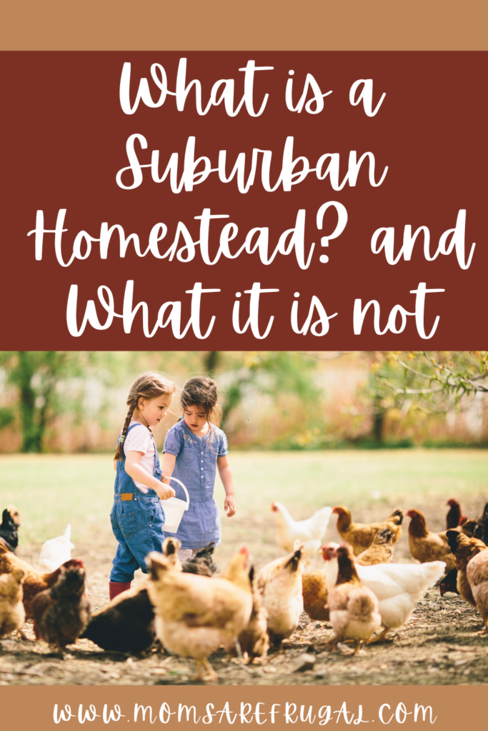 What is a Suburban Homestead? and what it is not.