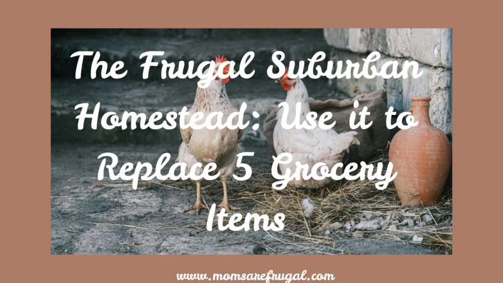 The Frugal Suburban Homestead: Replace 5 Grocery Items