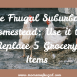 A Frugal Suburban Homestead: Replace 5 Grocery Items The Frugal Suburban Homestead: Replace 5 Grocery Items