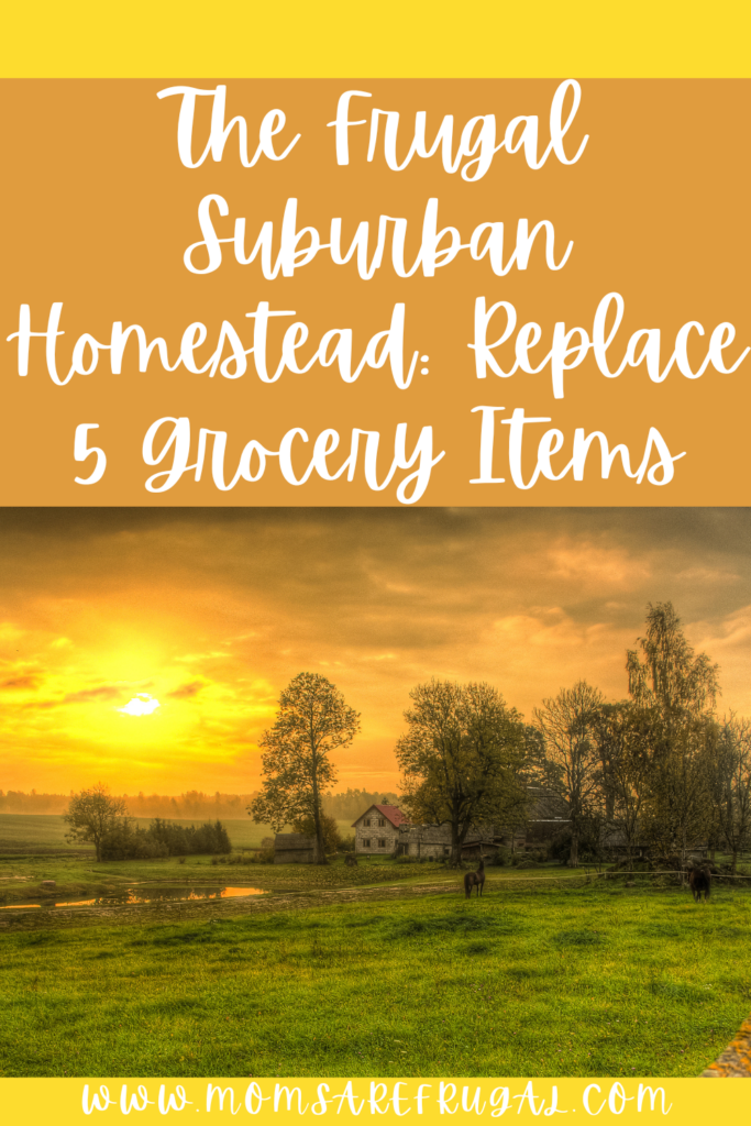 The Frugal Suburban Homestead: Replace 5 Grocery Items