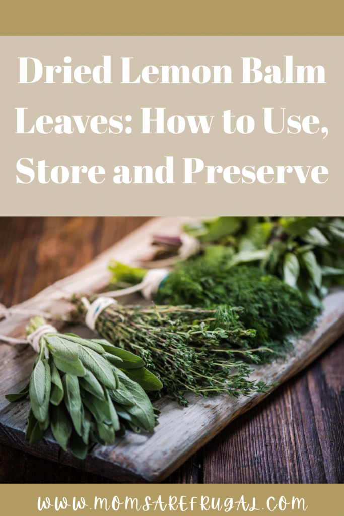 Dried Lemon Balm Leaves: How to Use, Dry and Store